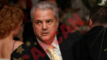 Crescatorie de pisici in casa lui Adrian Nastase