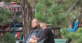 Galerie foto - poza 1