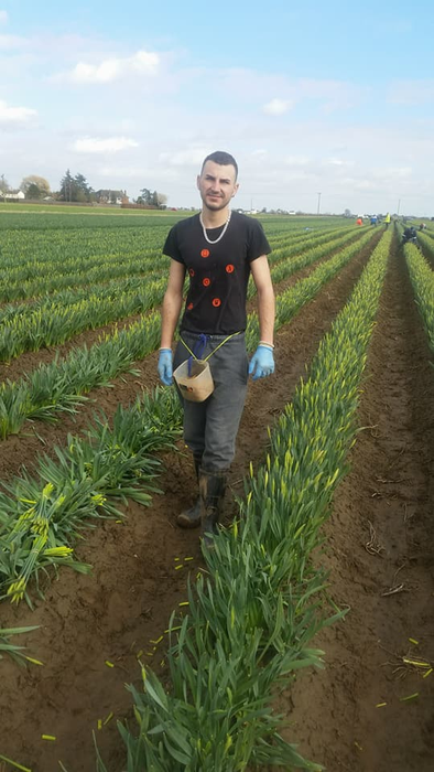 Nu e banc! Cât câștigă lunar Cosmin Besnă la cules de bujori, în Anglia: ”Nu mi-aș schimba jobul pentru nimic în lume”
