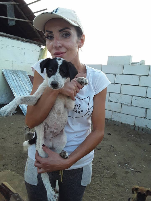 400 de câini, în pericol de a muri de foame