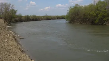Tragedie în Vaslui! Un cioban de 36 de ani, găsit înecat în Prut cu tot cu cal și căruță