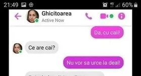 Galerie foto - poza 2