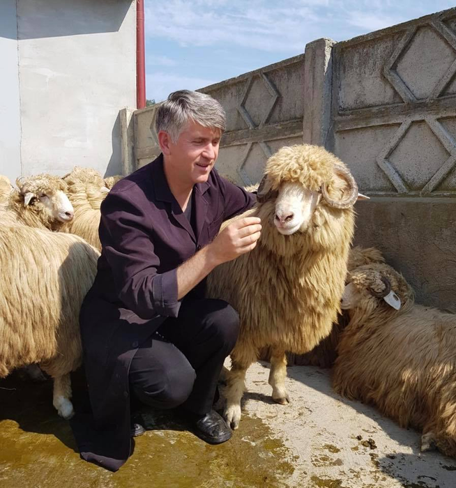 Cristian Pomohaci a fost condamnat, inițial, la un an de închisoare