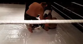 Galerie foto - poza 2