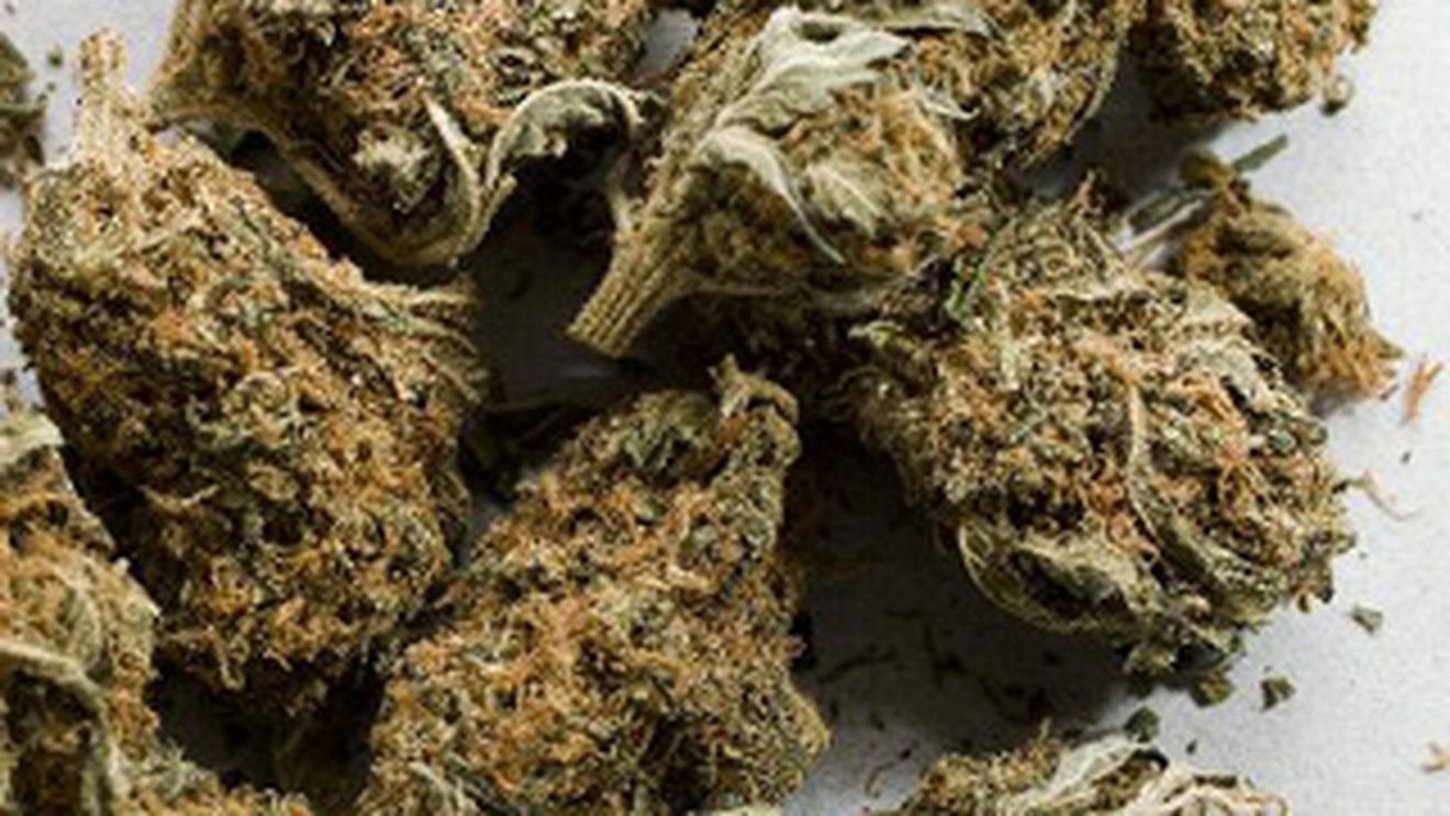 VIDEO Ultima metoda de a face trafic de droguri! Le catapulteaza!