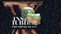 Vilele din „Insula Iubirii” pot fi închiriate de turiști. Cât costă un sejur de 7 nopți în Thailanda