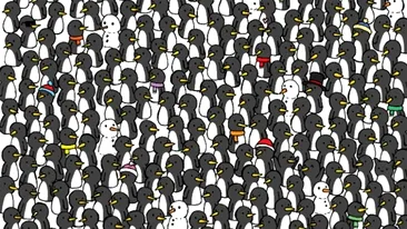 Test de perspicacitate | Doar 1 dintre 500 de oameni poate identifica 3 pisici printre pinguinii din imagine