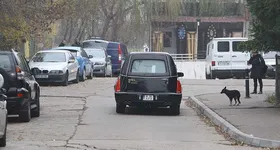 Galerie foto - poza 4