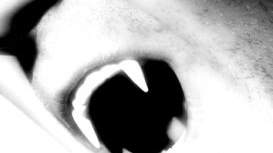 De mai bine de zece ani politia cauta un barbat schizofrenic care bea sangele cadavrelor
