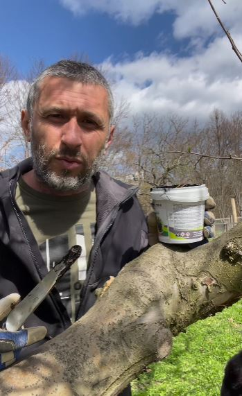 Cum arată solarul Danei Nălbaru și al lui Dragoș Bucur. Vedetele vor planta legume: „Ne inspiri”