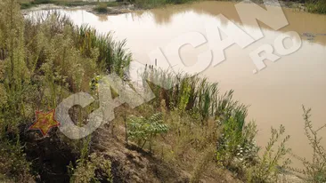 Dupa Delta Vacarestiului, o alta oaza verde a aparut in Capitala! In loc sa se bucure, locuitorii sunt revoltati!