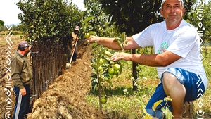 Povestea minerului care a ajuns să dețină cea mai mare pepinieră din Oltenia