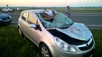 Accident în Buzău, cinci persoane rănite! Un cal a ieșit brusc în stradă…