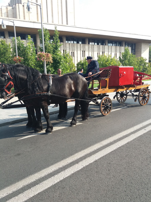 Primarul din Calopăr a devenit vedetă de Ziua Pompierilor