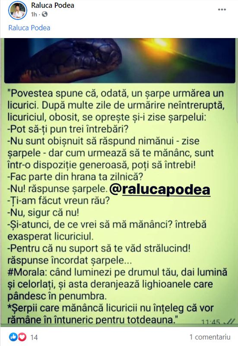 Brigitte a publicat un mesaj halucinant primit de la Raluca Podea: “Pe unde te prind, te tund”. Comentariul fabulos primit de cele două rivale