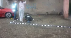 Galerie foto - poza 1