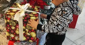 Galerie foto - poza 2