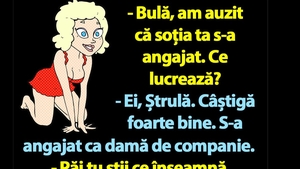 BANC | Soția lui Bulă s-a angajat ca damă de companie