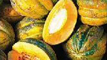 19 tone de pepeni galbeni din Spania au ramas in Vama Nadlac