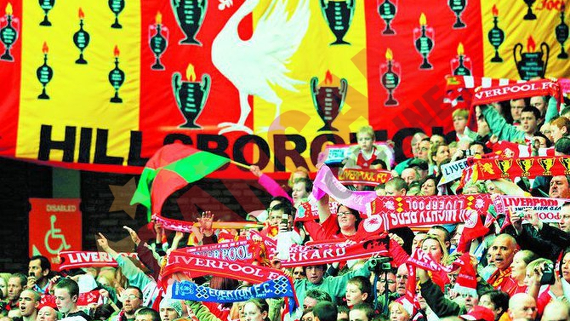 Steaua joaca un superamical cu Liverpool