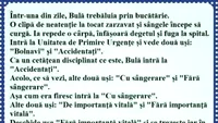 BANC | Într-o zi, Bulă trebăluia prin bucătărie