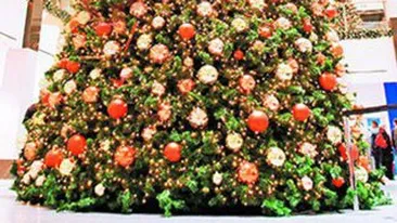 Cum decoram bradul anul acesta?