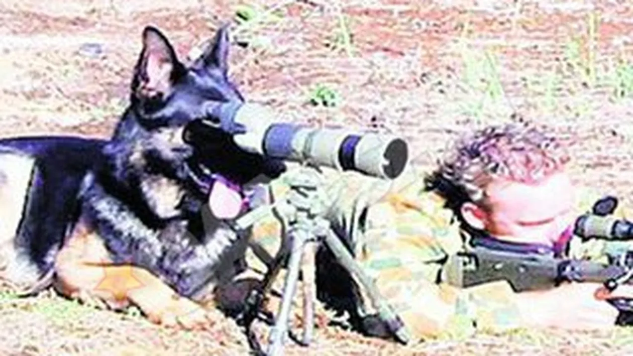 Cum se distreaza soldatii pe front