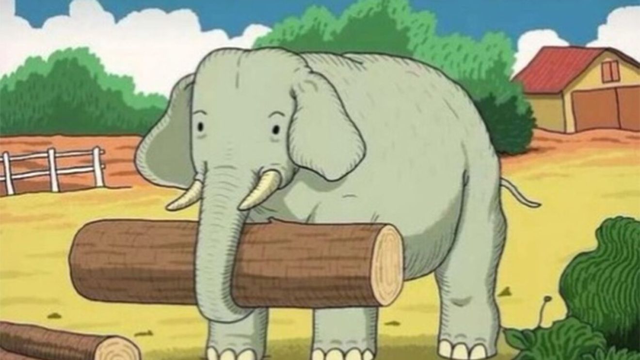 Iluzie optică virală | Ești un mega-geniu dacă poți găsi calul "camuflat" în această fotografie