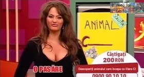 Galerie foto - poza 2