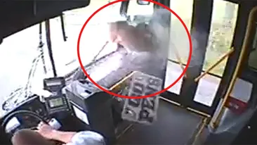 Imagini nerecomandate iubitorilor de animale! Cum a ajuns o caprioara lovita de autobuz sa faca sarituri incredibile pe scaune