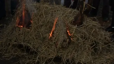 A taiat porcul dar n-a putut sa-i manance pomana! Bianca se tavaleste in chinuri ca nu poate sa se infrupte din carnea de porc.