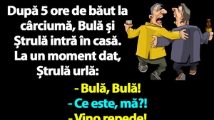 BANC | După 5 ore de băut, Bulă și Ștrulă intră în casă