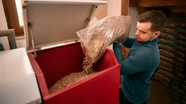 (P) Centrale termice pe peleți: beneficii pentru economisirea energiei și reducerea costurilor de încălzire