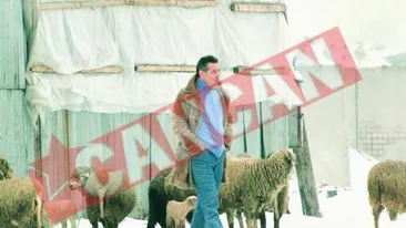 Talent si Fermecatoru' i-au facut  imn lui Becali