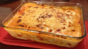 Scandal de amploare în Marea Britanie! Carnea de cal descoperită în lasagna provenea din România