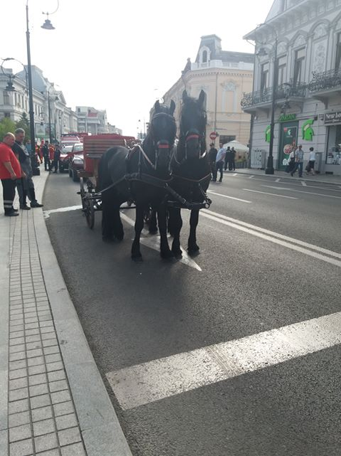 Primarul din Calopăr a devenit vedetă de Ziua Pompierilor