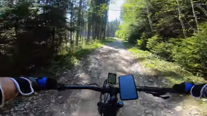 Un biciclist s-a întâlnit cu un urs în Predeal, în minivacanța de 1 Mai! A filmat toată scena