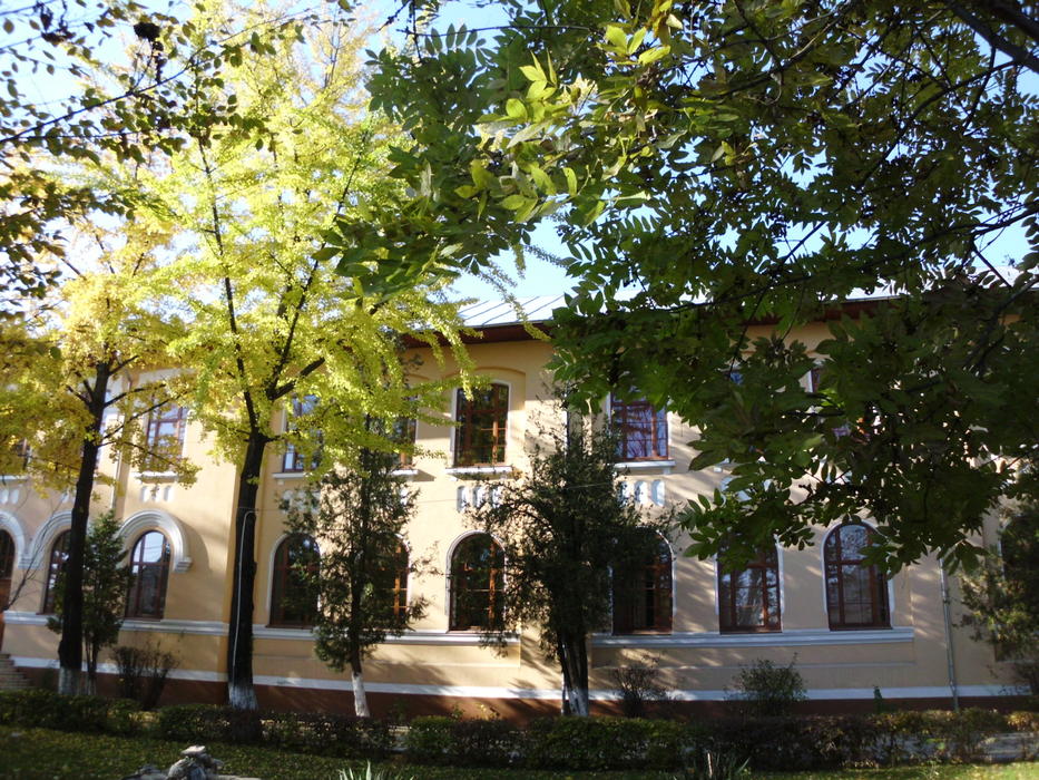Colegiul "Constantin Carabella" din Târgoviște