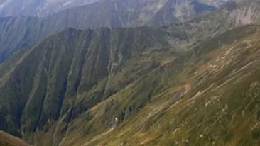 Un elev de 11 ani care era intr-o excursie cu colegii a murit dupa ce a cazut intr-o rapa