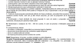 Galerie foto - poza 4