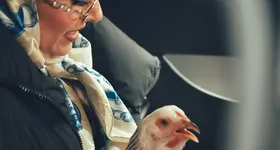 Galerie foto - poza 3