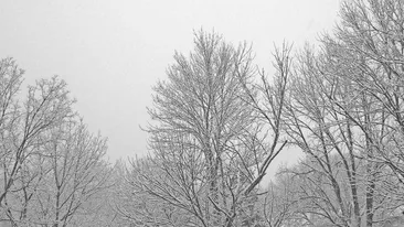 PROGNOZA METEO 9 FEBRUARIE: Cer noros în mare parte a ţării