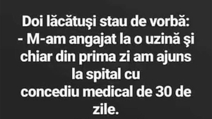 BANC | Doi lăcătuși stau de vorbă