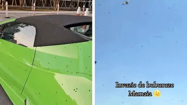 Invazie pe litoralul românesc! Turiștii sunt asaltați pe plajă sau pe faleză de mii de buburuze