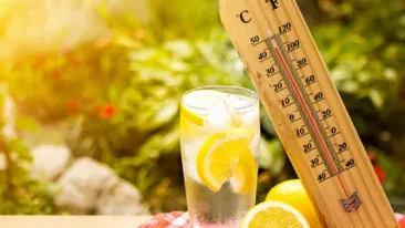 Ce drepturi au angajații pe timp de caniculă. Angajatorii au obligația să le ofere cele mai bune condiții pentru desfășurarea activității