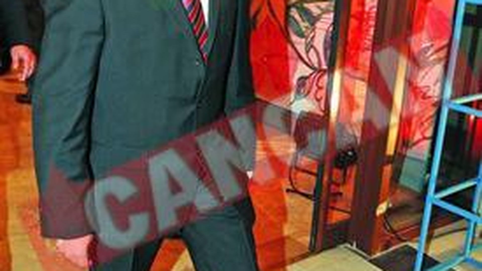 Palinca Si caltabosii lui Remes au trecut Si pe la Basescu