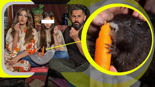 Iulia Albu continuă să șocheze: și-a luat nutrie! CANCAN.RO are imagini tari