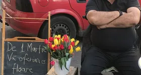 Galerie foto - poza 2