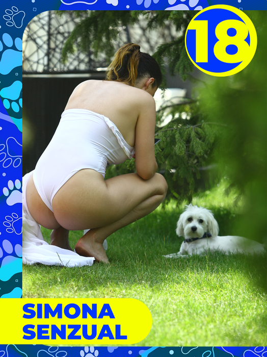 Top 25 vedete care și-au etalat costumele de baie, dar cățeii lor au făcut senzaţie! Delia, Bianca Drăgușanu sau Lora, eclipsate de patrupezi la malul mării