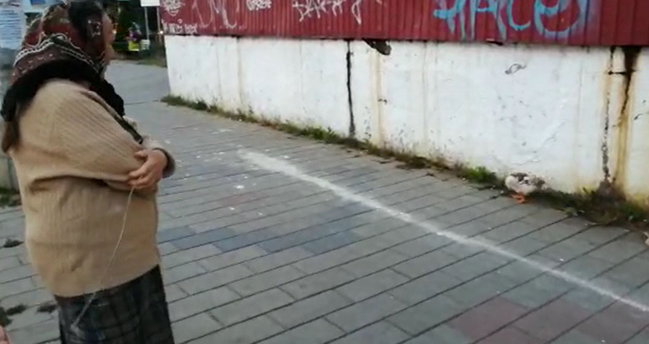 Fabulos! O bătrână din Botoșani a ieșit cu o rață la plimbare prin oraș. Cum a reușit să scape fără să fie amendată de polițiștii care au verificat-o